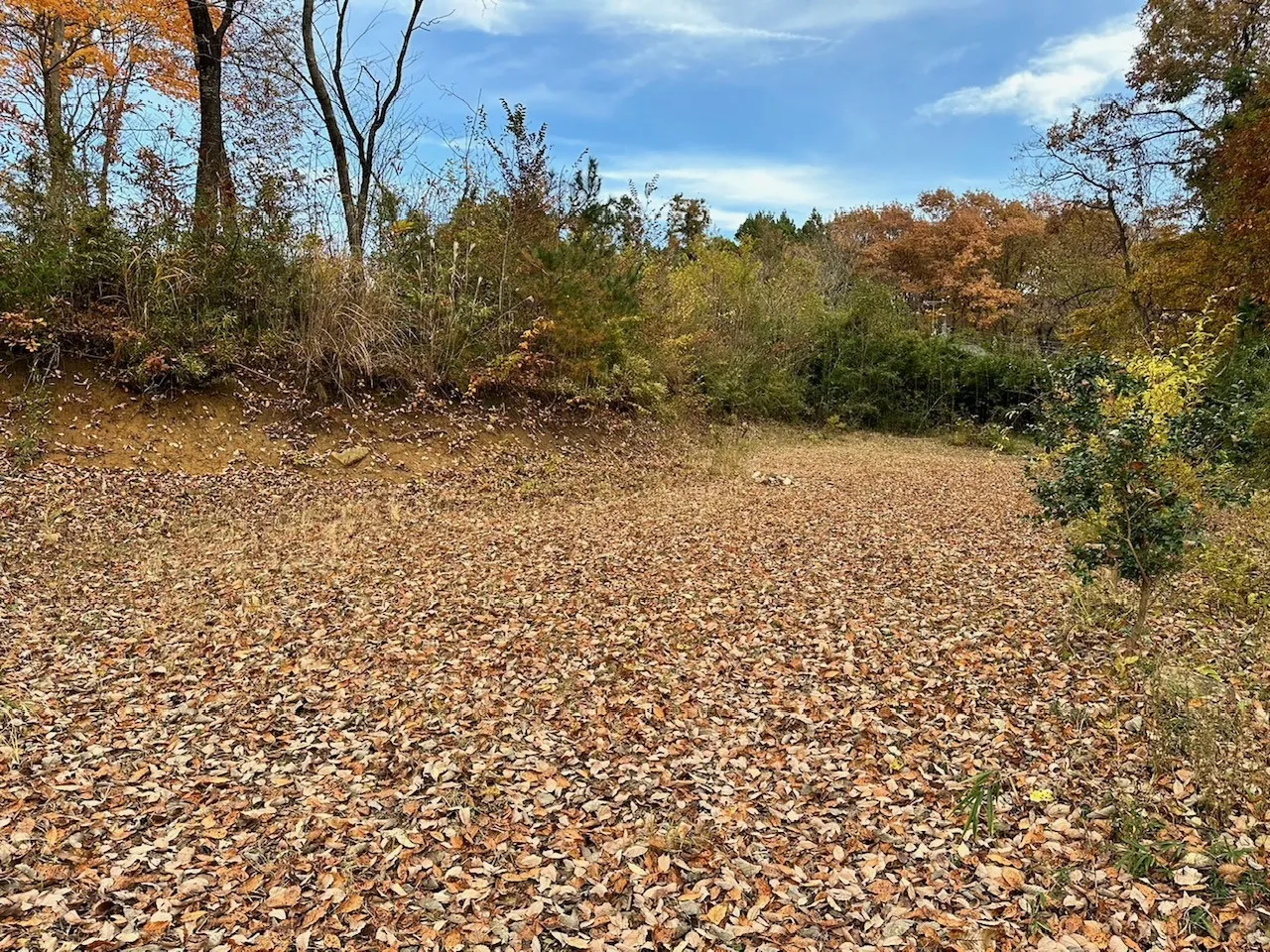 野営直火サイトC