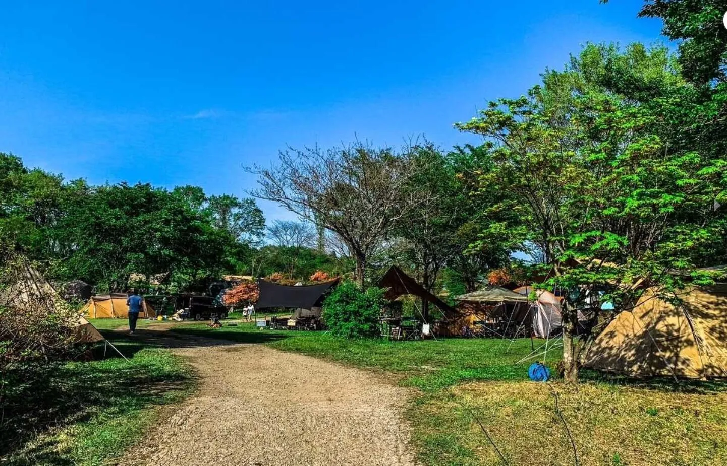 ファミリーキャンプ